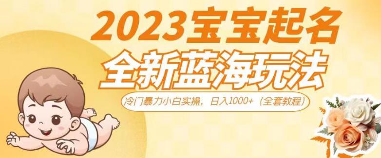 023宝宝起名全新蓝海玩法，冷门暴力小白实操，日入1000+（全套教程）【揭秘】"