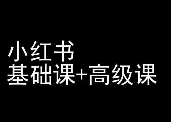 Al时代新电商,Al在电商中的应用领域,电商企业AI时代新契机