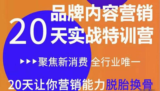 《内容营销实操特训营》20天让你营销能力脱胎换骨(价值3999)